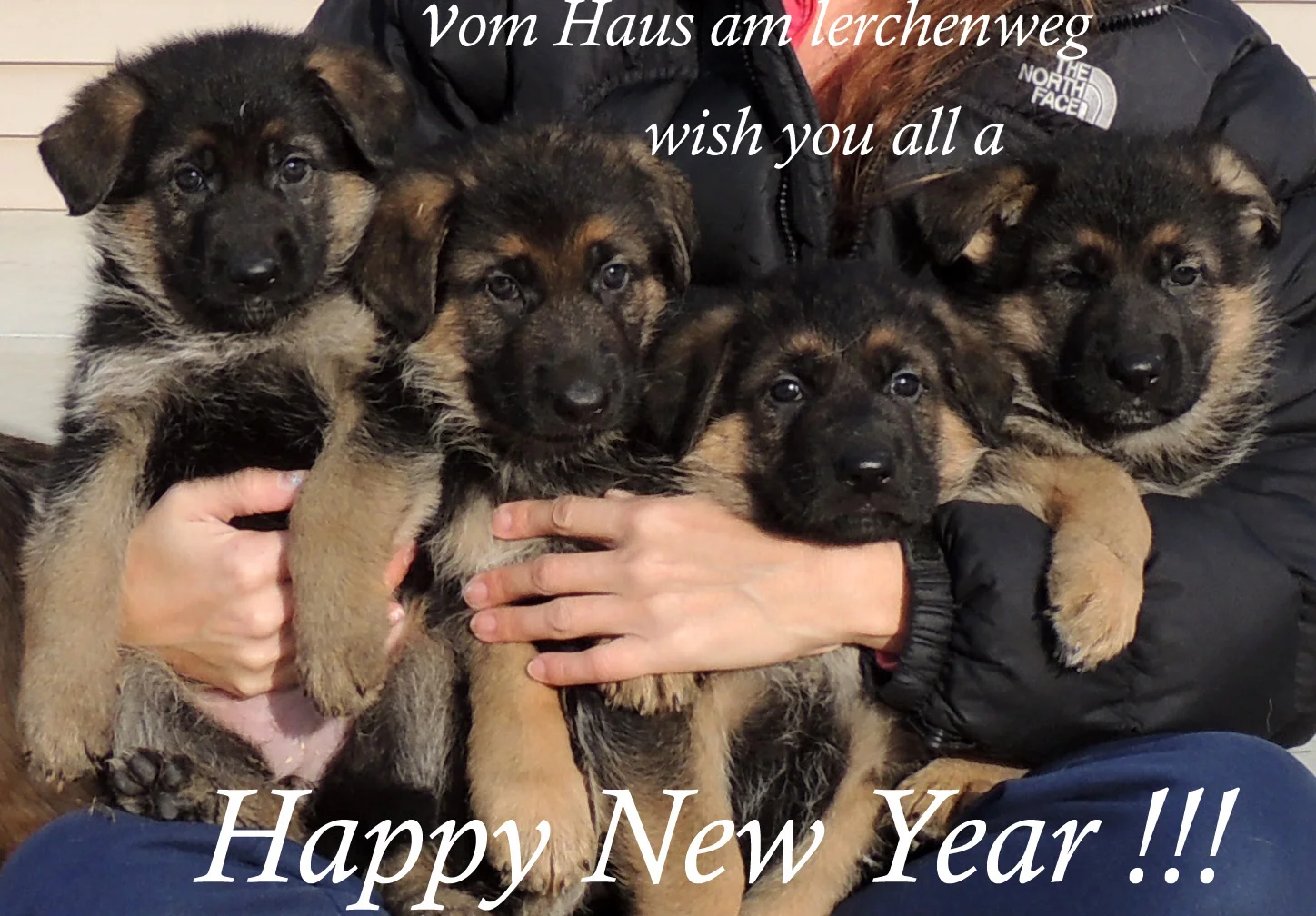 new year copy.jpg
