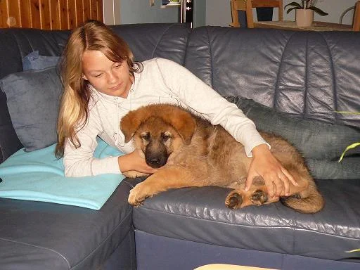 Ice-man-couch.jpg