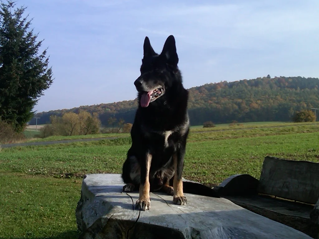 Itzgrund-20111028-00292.jpg