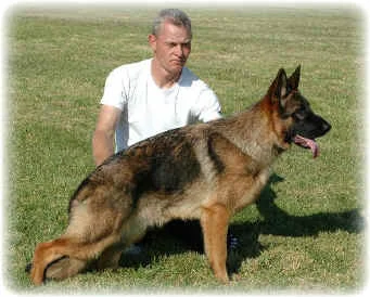 vp1_6to9male1.jpg