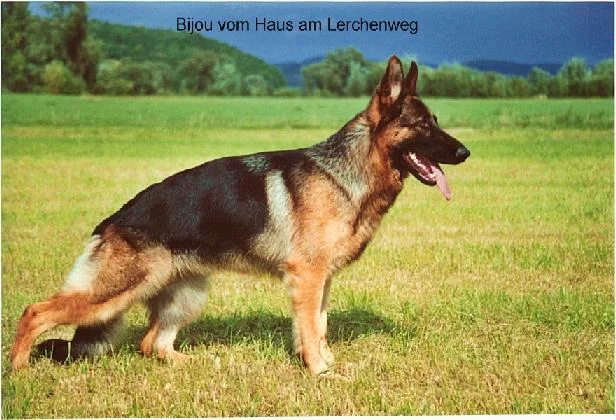 BIJOU-NE.JPG