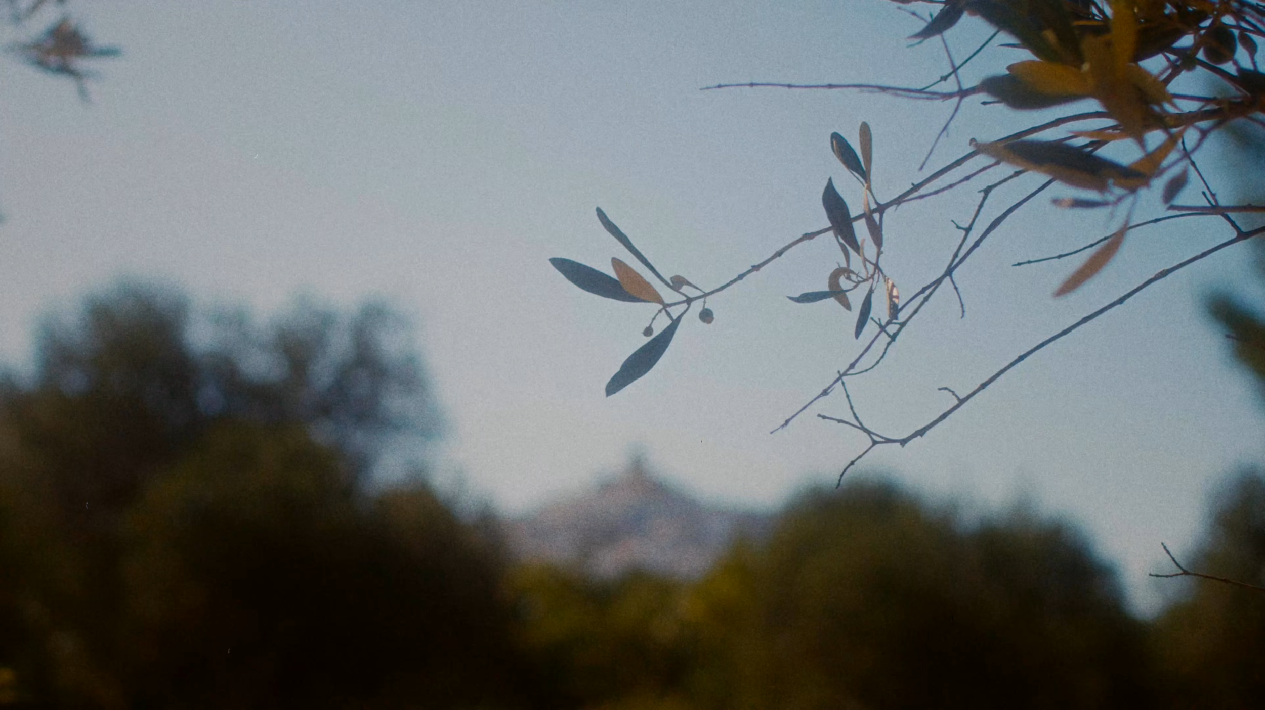 Screen Shot 2026-02-08 at 02.02.04.png