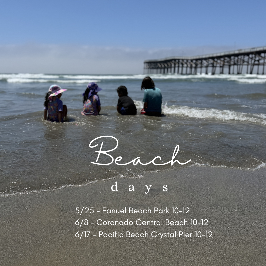 Coronado Central Beach Meetup