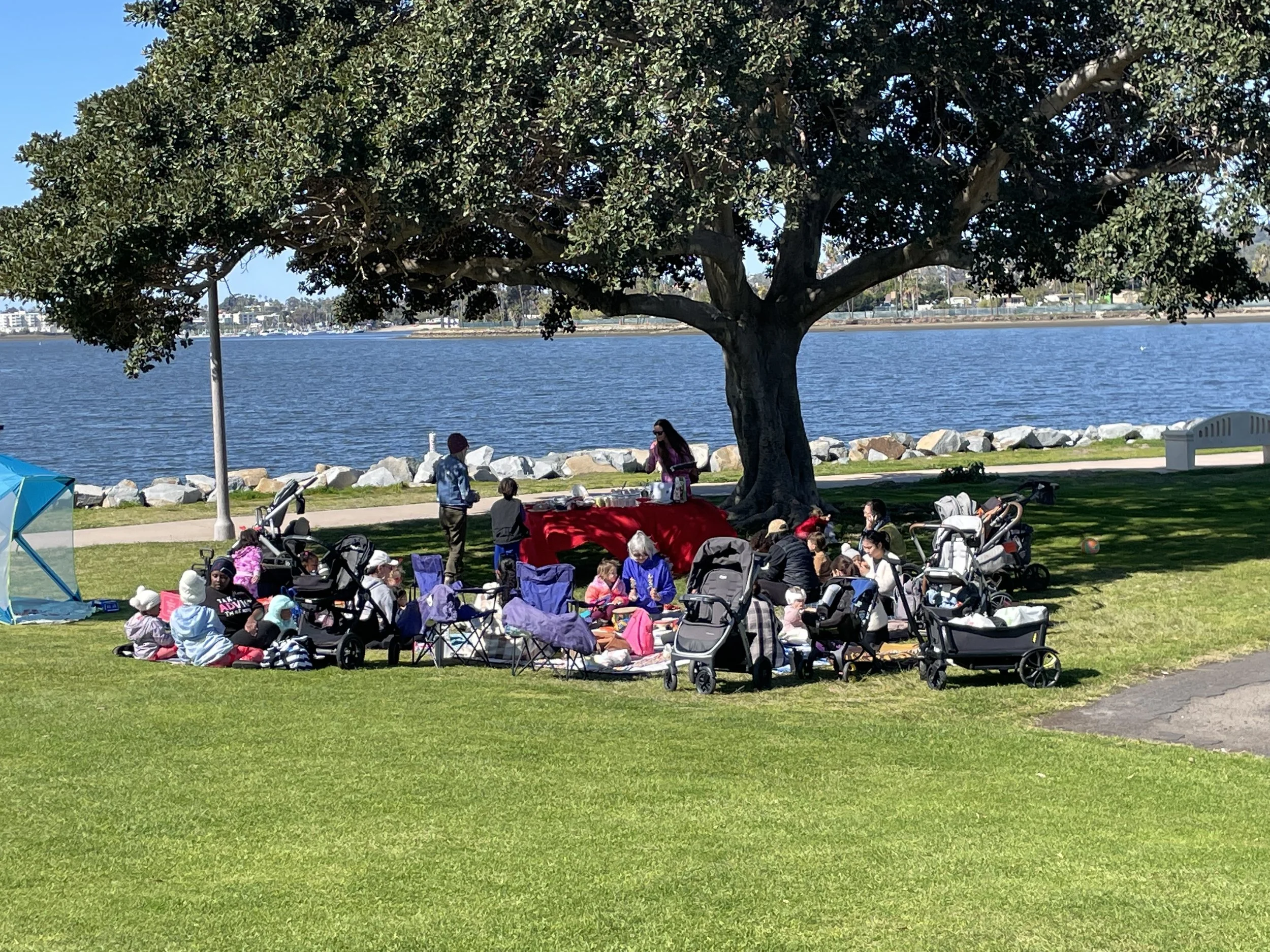 Group of people having a picnic under a large tree next to a river with rocks along the shoreline, in a park on a sunny day.