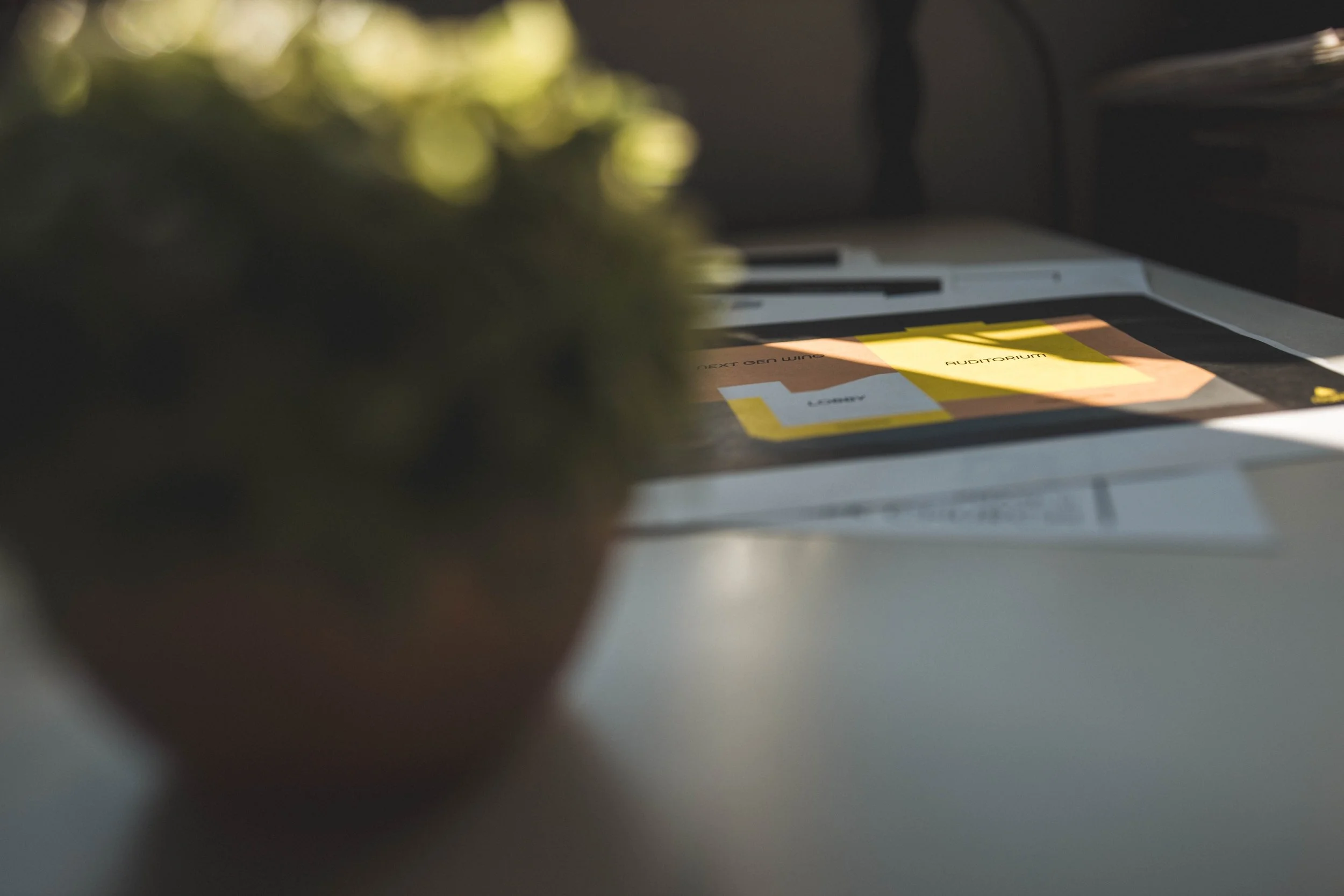 Blurry view of a potted plant on a white surface and a paper with a layout on a computer keyboard, illuminated by sunlight.
