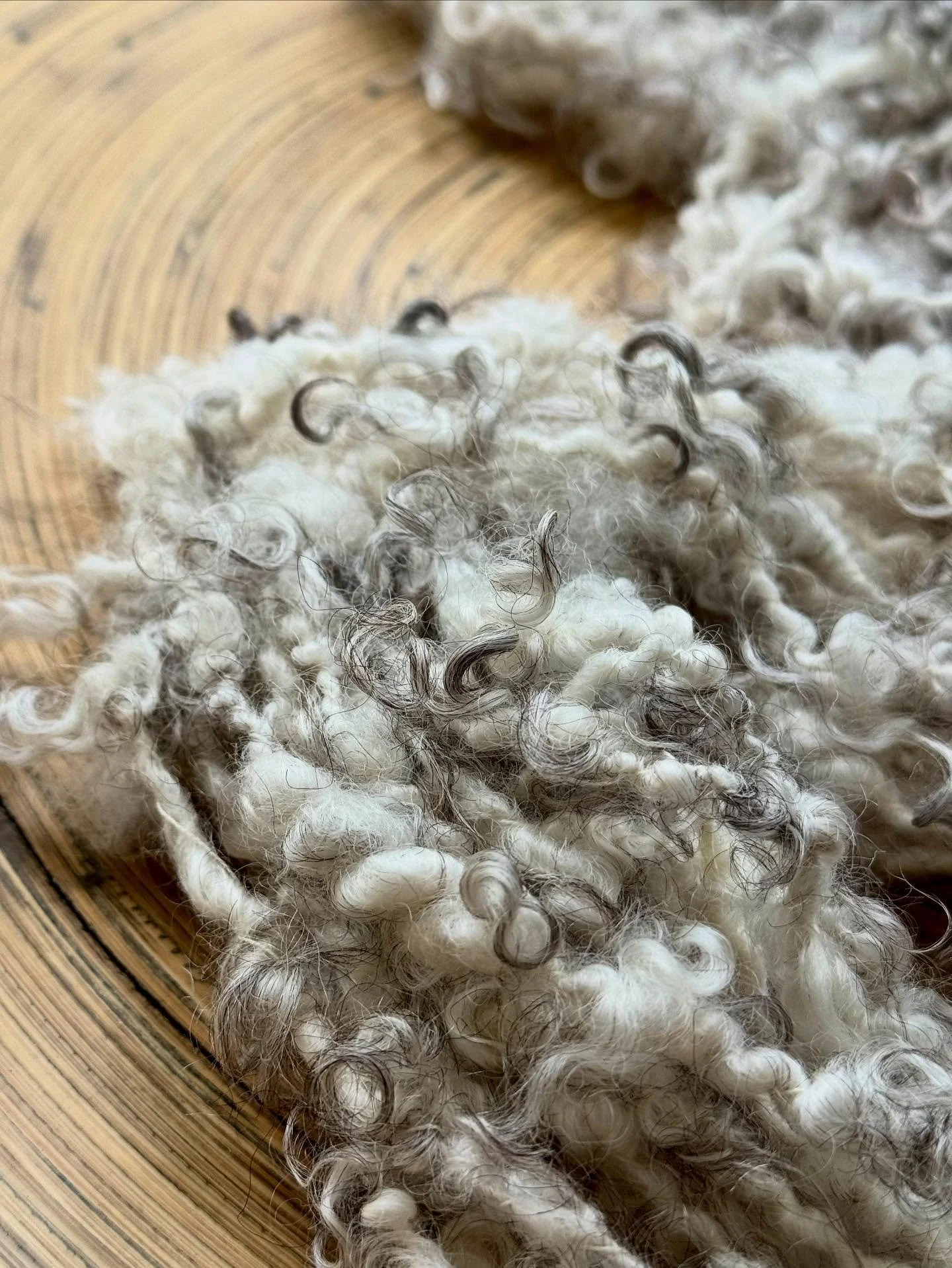 Tour de Fleece Stage 1: I&rsquo;ve been so slow to post this year. I had a kickoff event on my front porch on the first day of the tour and plied this glorious lockspun yarn. I can&rsquo;t get over how amazing grey tips. I&rsquo;m so lucky to have sc