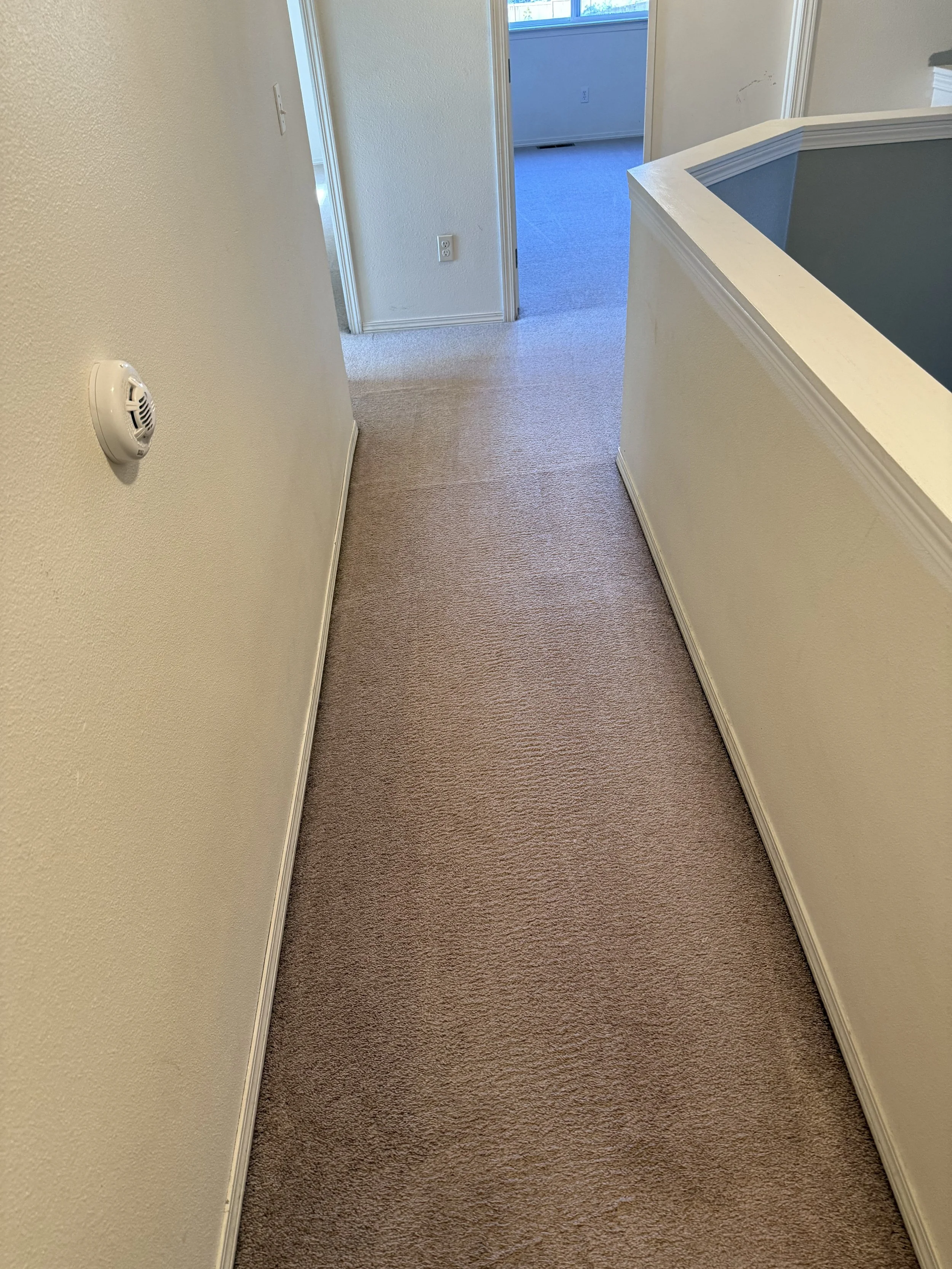 Photo Sep 30 2025, 10 48 52 AM.jpg