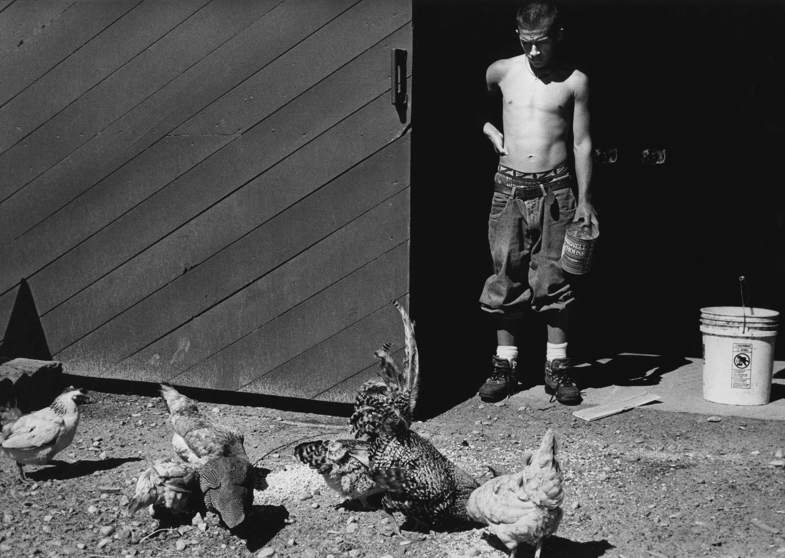  FEEDING THE CHICKENS &nbsp;&nbsp;  DAYS WERE MUCH LIKE LIFE ON A NINETEENTH-CENTURY FARM: THE BOYS HARVESTED FOOD, CHOPPED WOOD TO STAY WARM, AND LOOKED AFTER FARM ANIMALS.&nbsp; EACH BOY COULD SEE HOW HIS CONTRIBUTION WAS VITAL TO THEM ALL.&nbsp; 