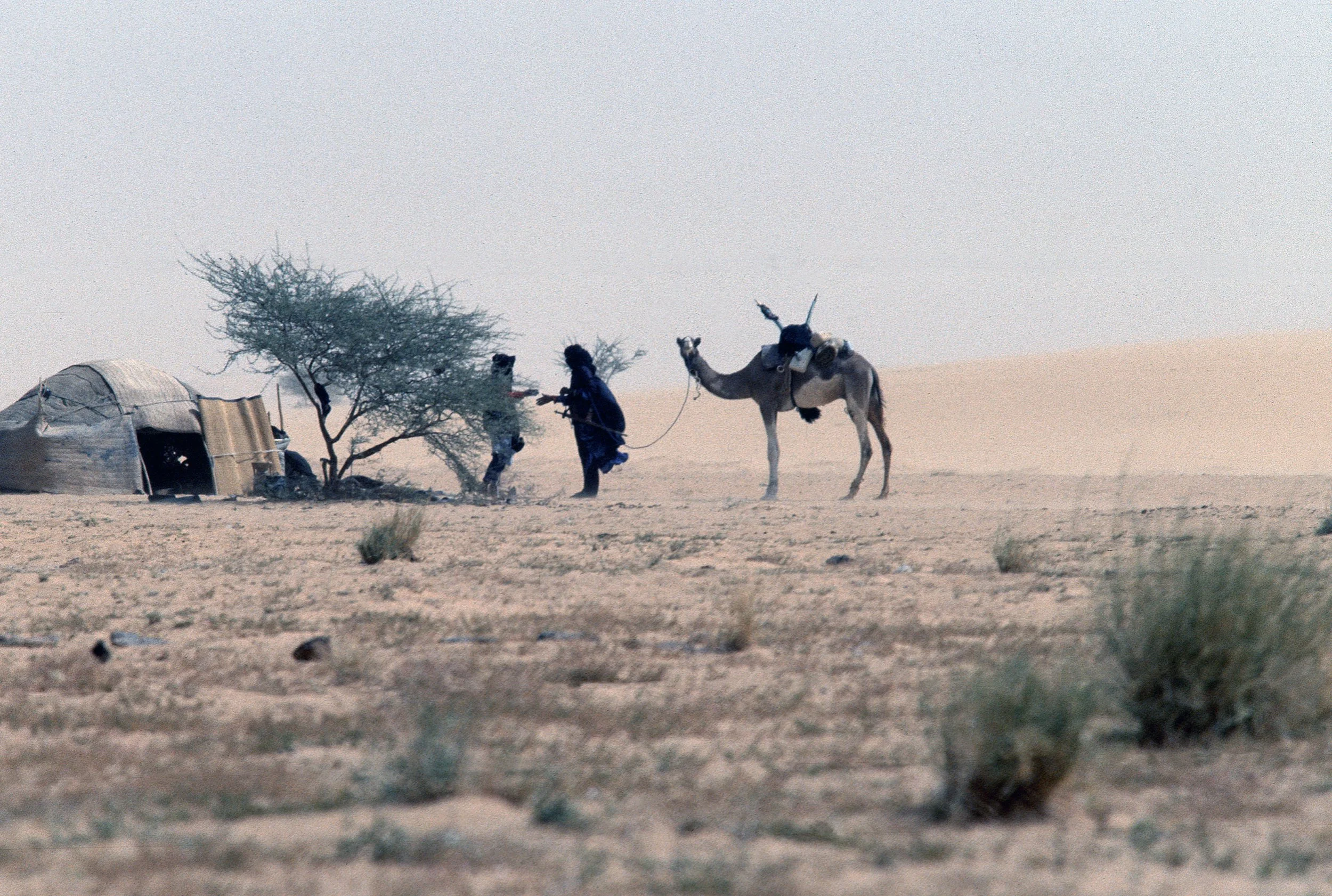   The stranger who arrives, enemy; the stranger who stays, King; the stranger who leaves, blacksmith  This semi-jokingly explains the Tuaregs’ noted hospitality. They must treat guests as kings, giving them the best of whatever food they have—even if