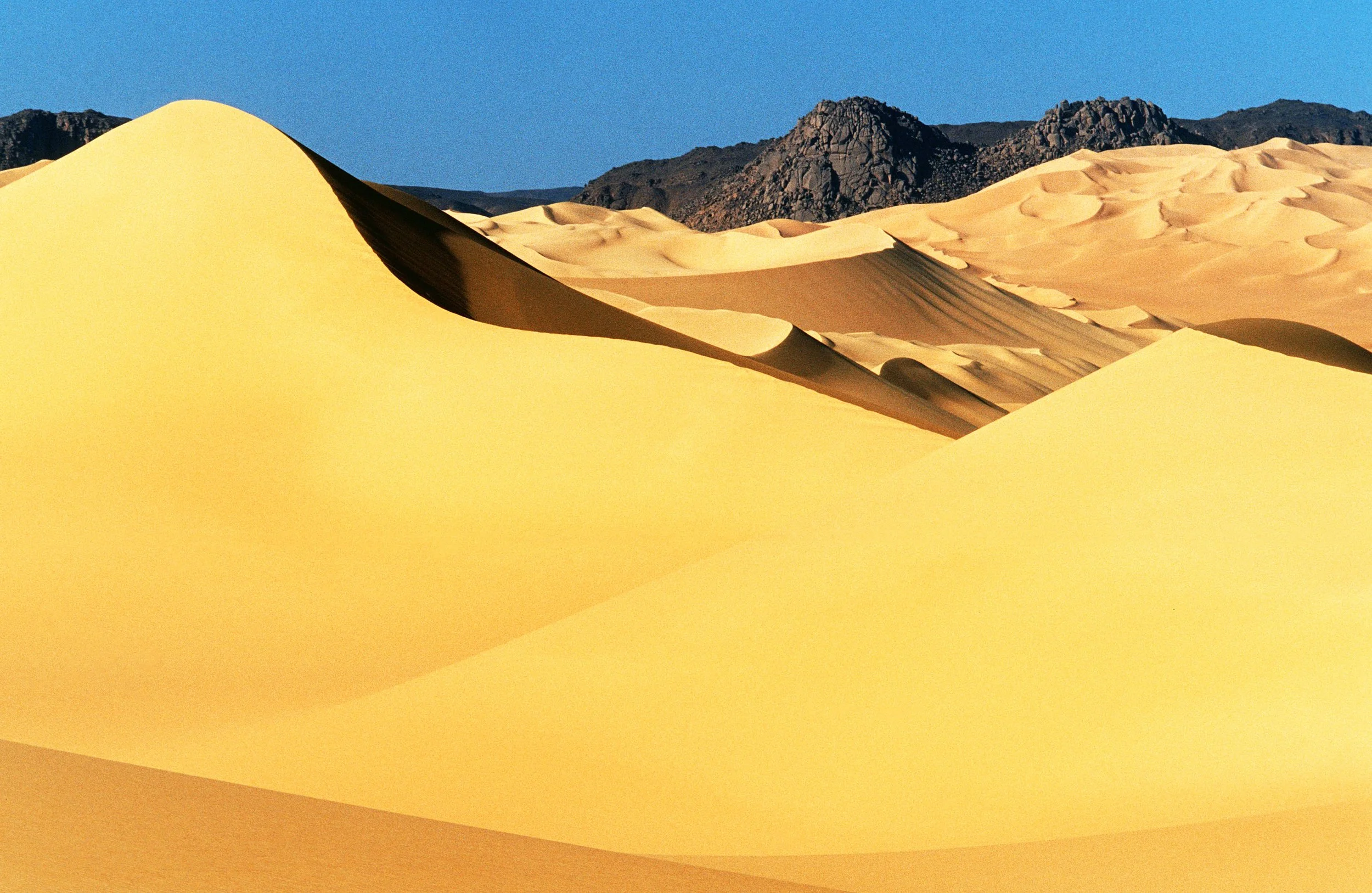   In a real desert, even the jackals cannot survive—one finds only the addax and fennecs, animals created by God to remind man of his limits    Sidati Ag Scheik&nbsp;  