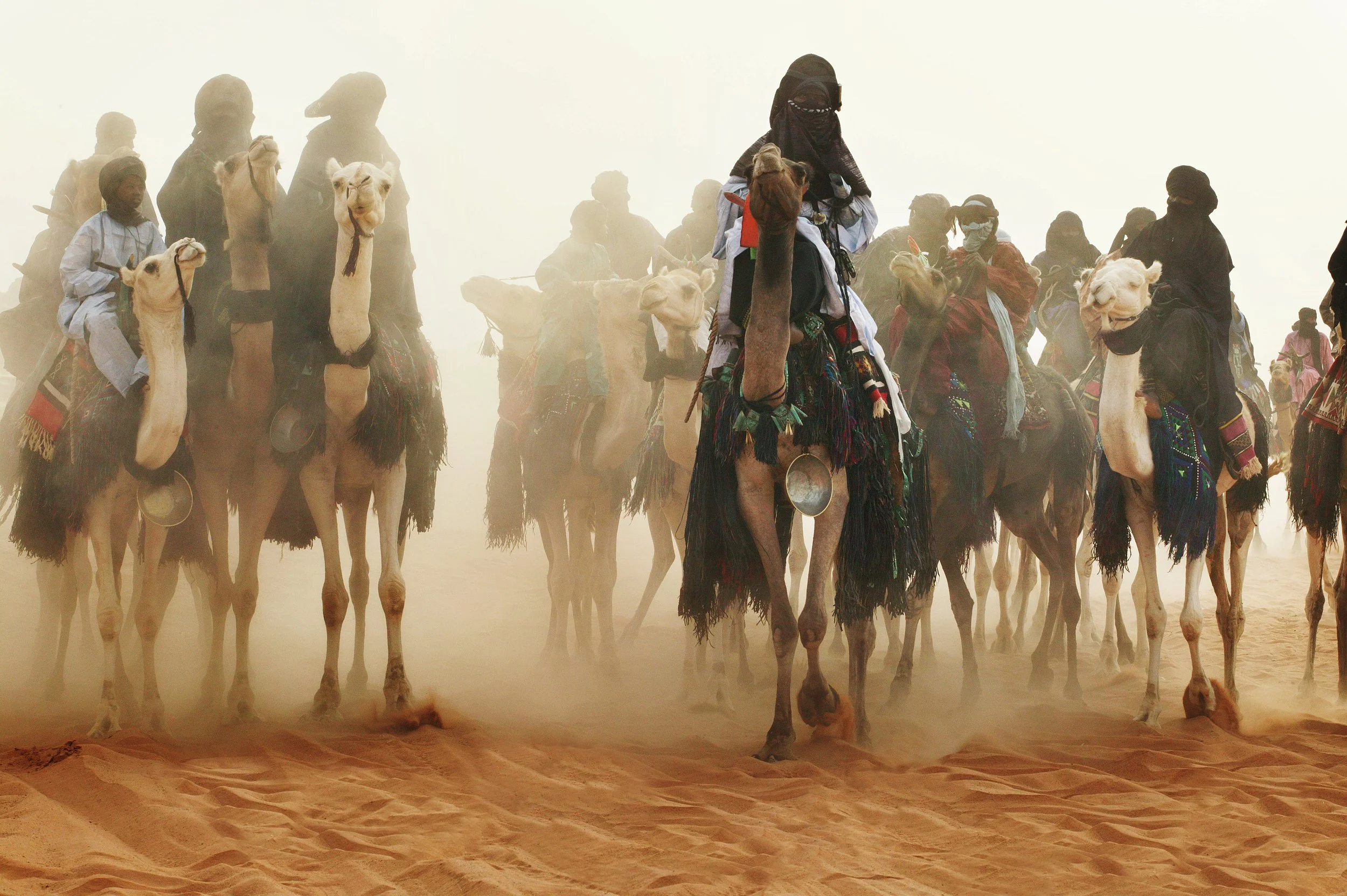 34. Camels wedding.jpg