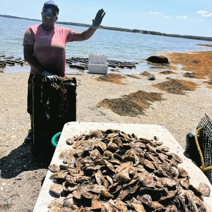 👋 Hello from Indigo Oyster Co. - we're officially open for business! Our first oysters of the season are now available for preorder and will be freshly harvested for pickup this Sunday at the @scarboroughfarmersmarket (259 US Route 1, Scarborough, M