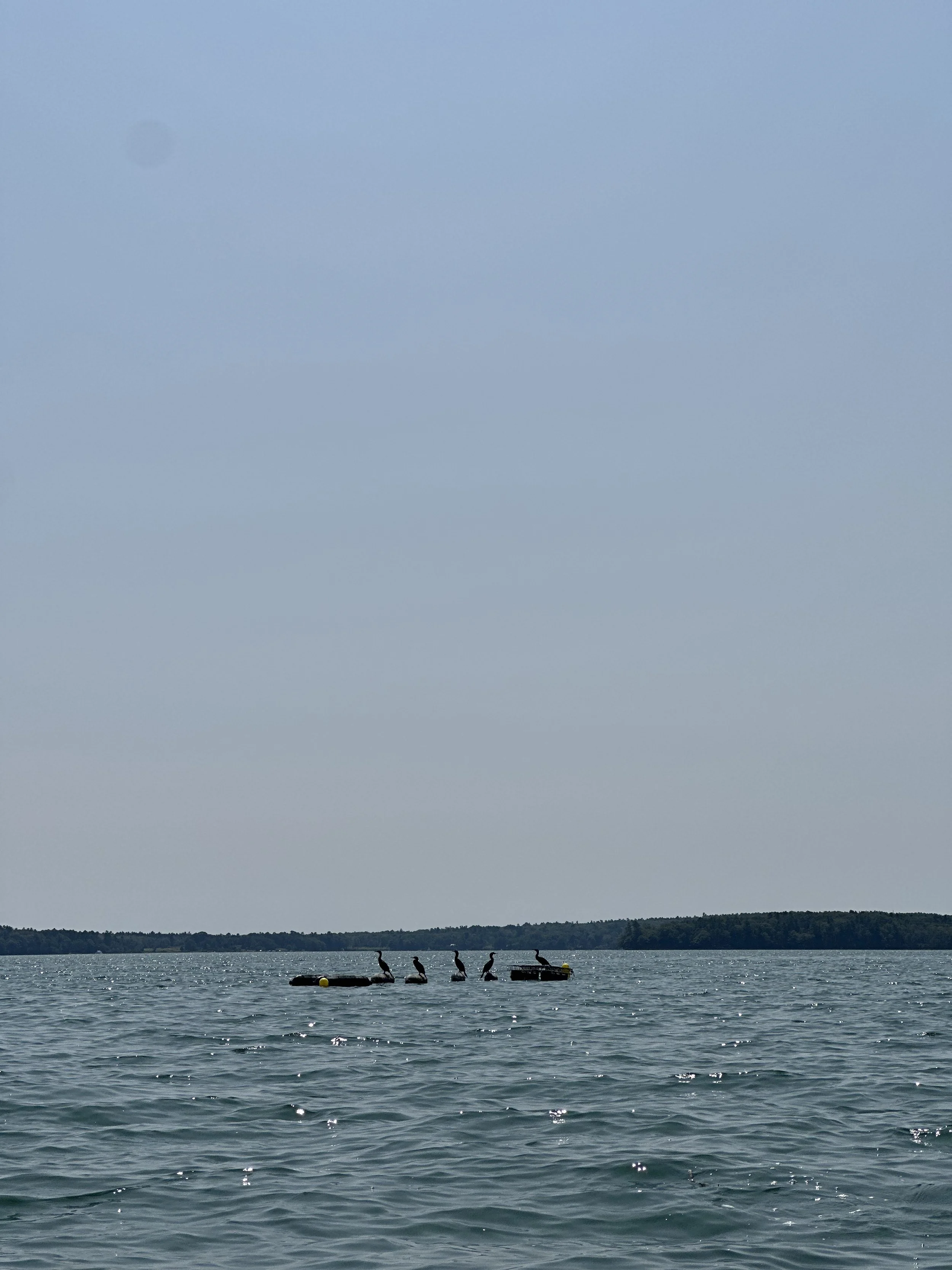 IMG_8281.jpg