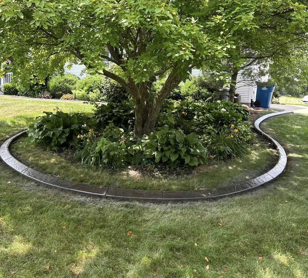 A landscaped garden bed with a tree surrounded by green plants and bushes, bordered by dark stone edging in a yard.