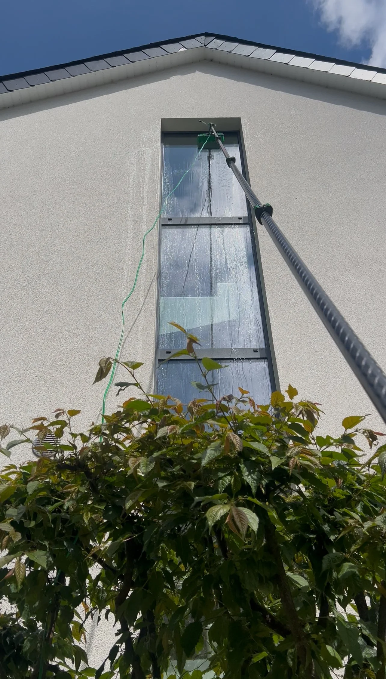 Une maison vue de dessous avec un toit en pente. Une grande fenêtre est en cours de nettoyage avec un long outil, un étendoir à vapeur ou un nettoyeur à vapeur, et il y a des feuilles et des branches au premier plan.