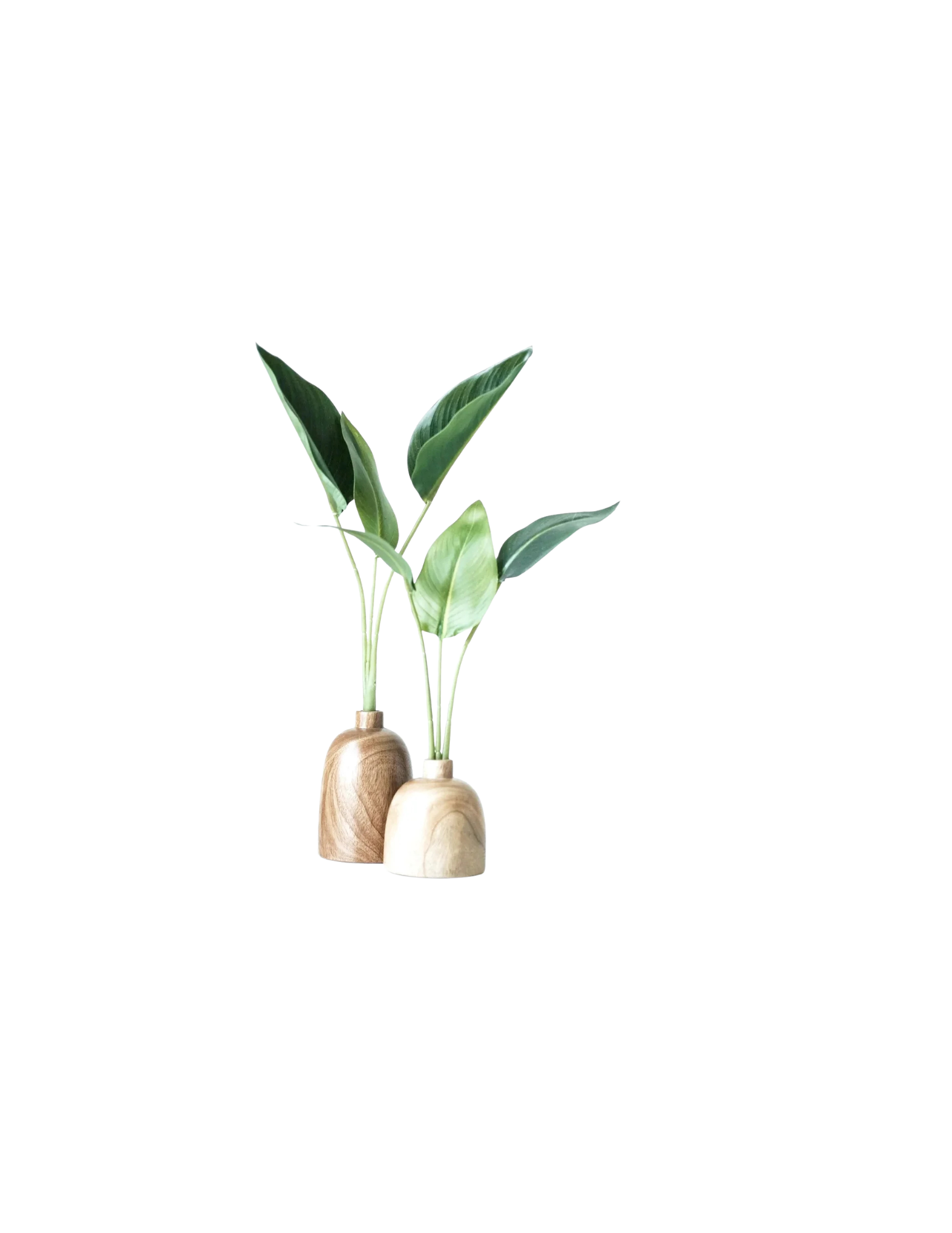 Lisa Strong, virtual assistant for wellness practitioners, providing calm administrative and systems support