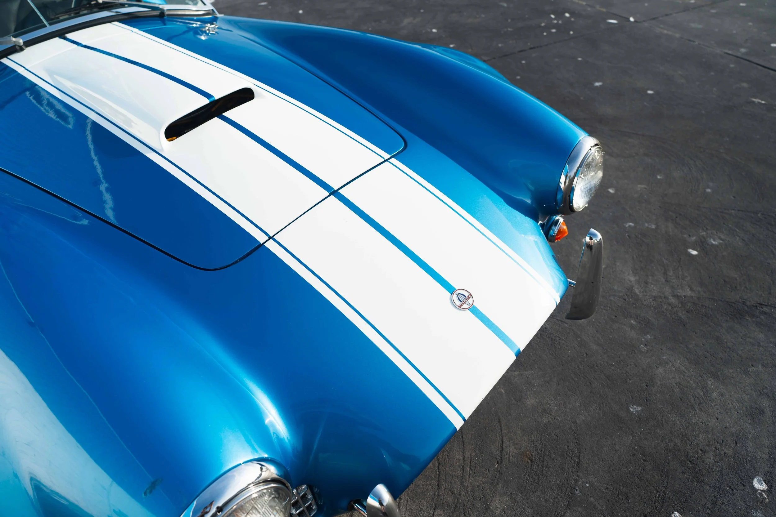 1989 Shelby Cobra 427 - Boat Dock-7.jpg