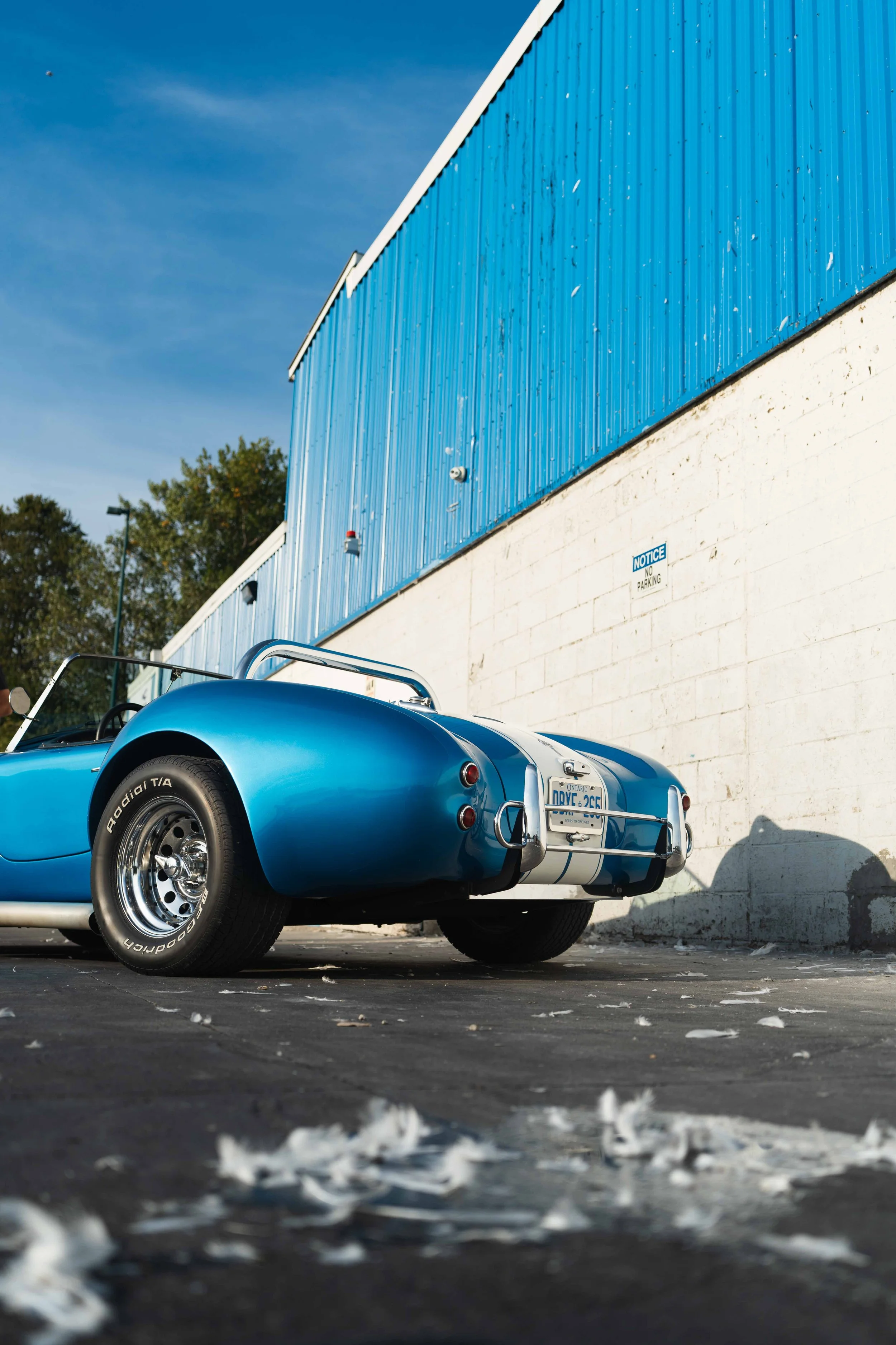 1989 Shelby Cobra 427 - Boat Dock-12.jpg