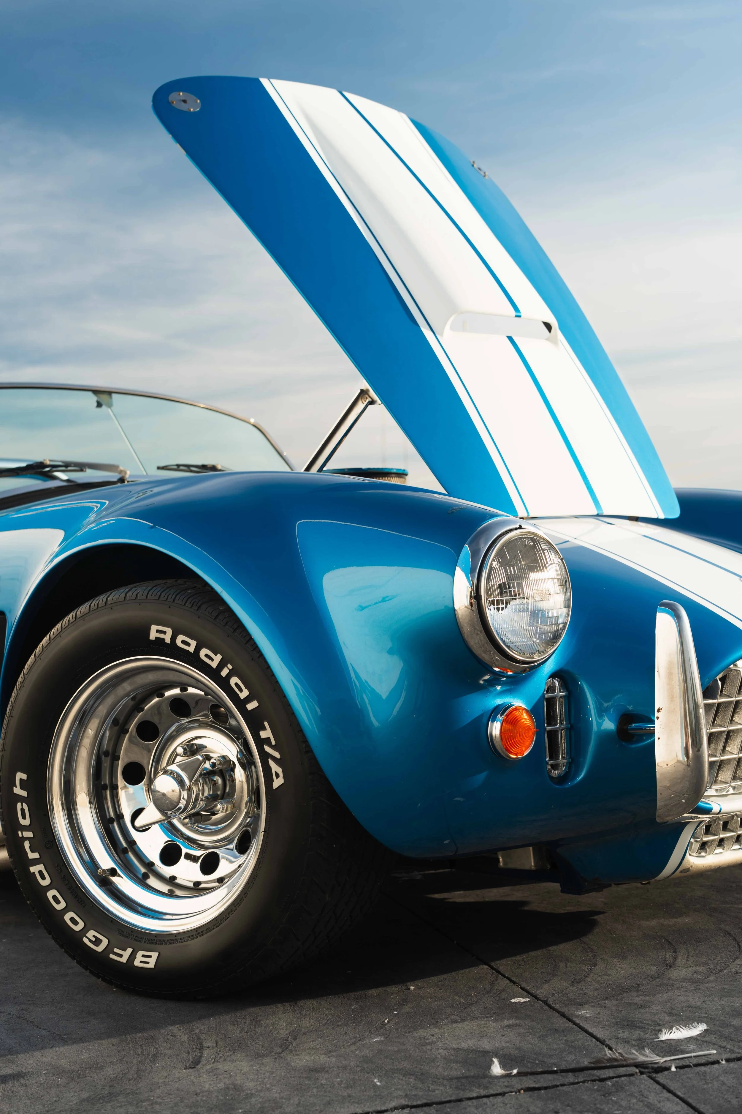 1989 Shelby Cobra 427 - Boat Dock-18.jpg