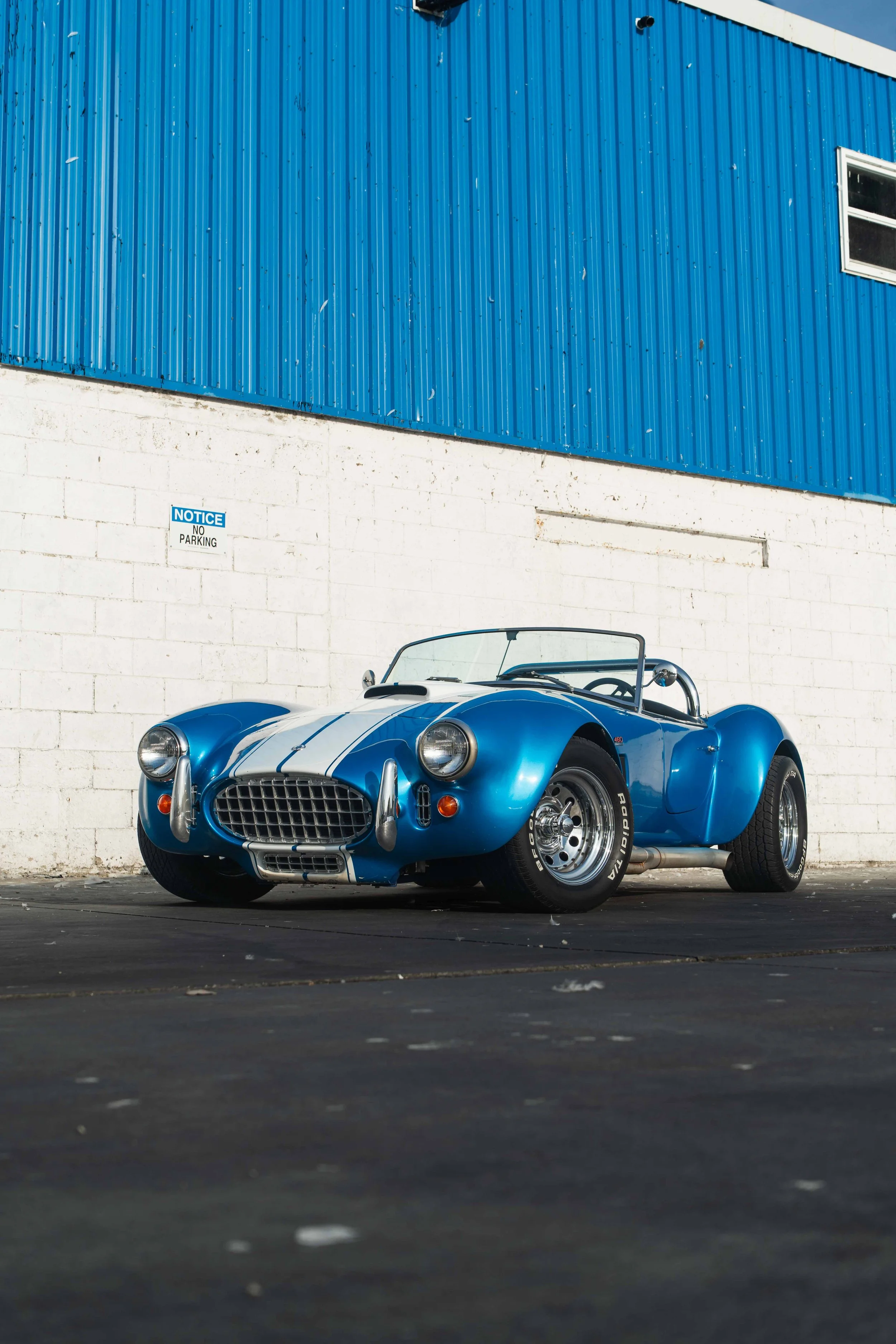 1989 Shelby Cobra 427 - Boat Dock-3.jpg