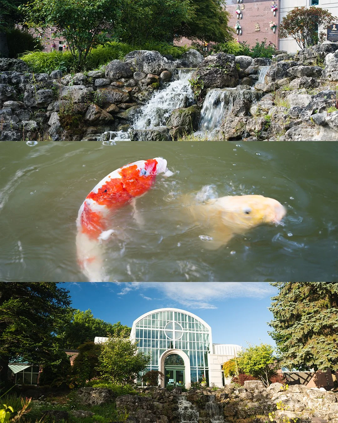 Koi Pond Heavnly Rest (Sat, Sept 6th).jpg