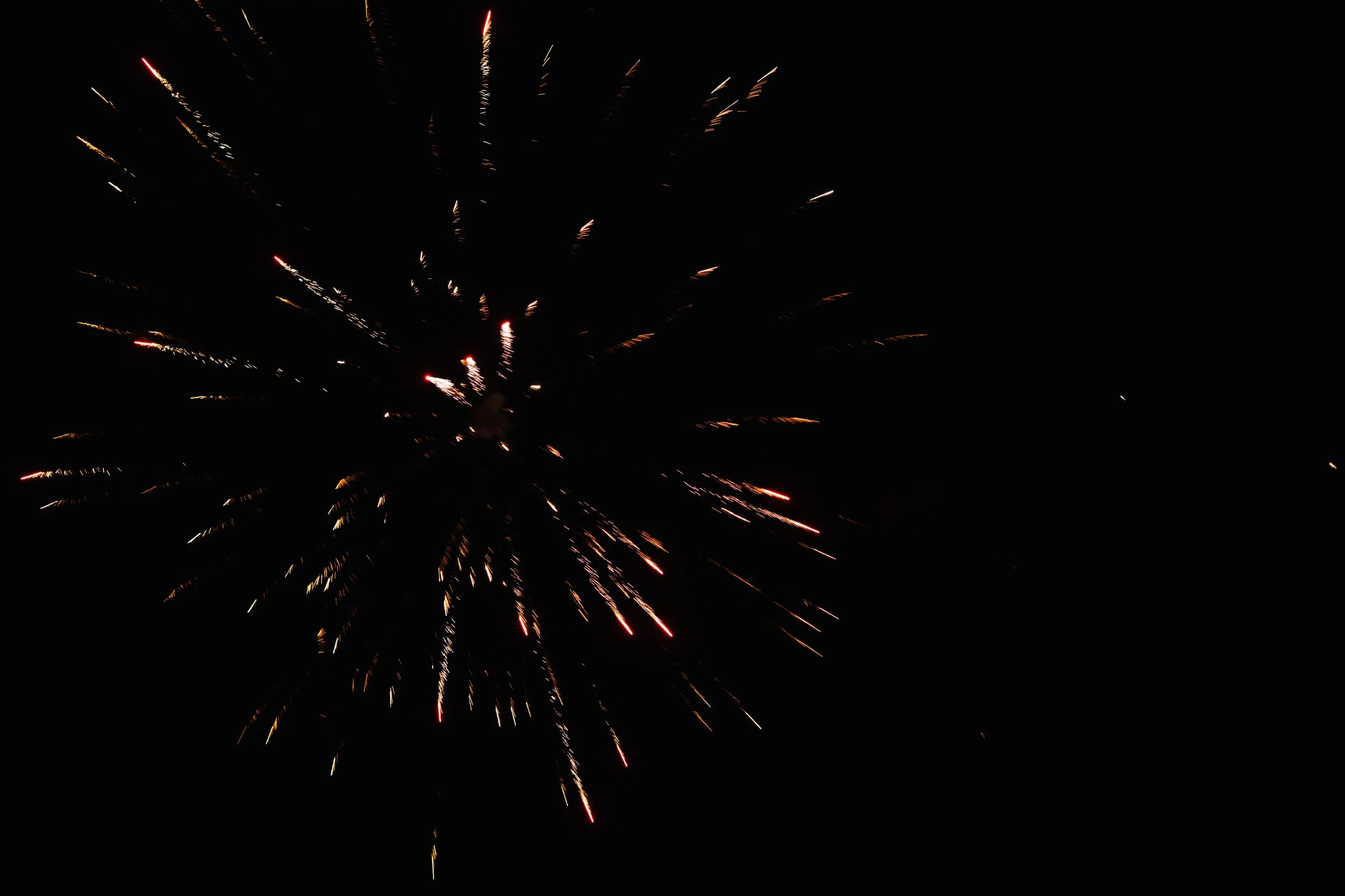 Gennaro Café & Coffee Company Wedding Catering (Stoney Point, Ontario) exports-25.jpg