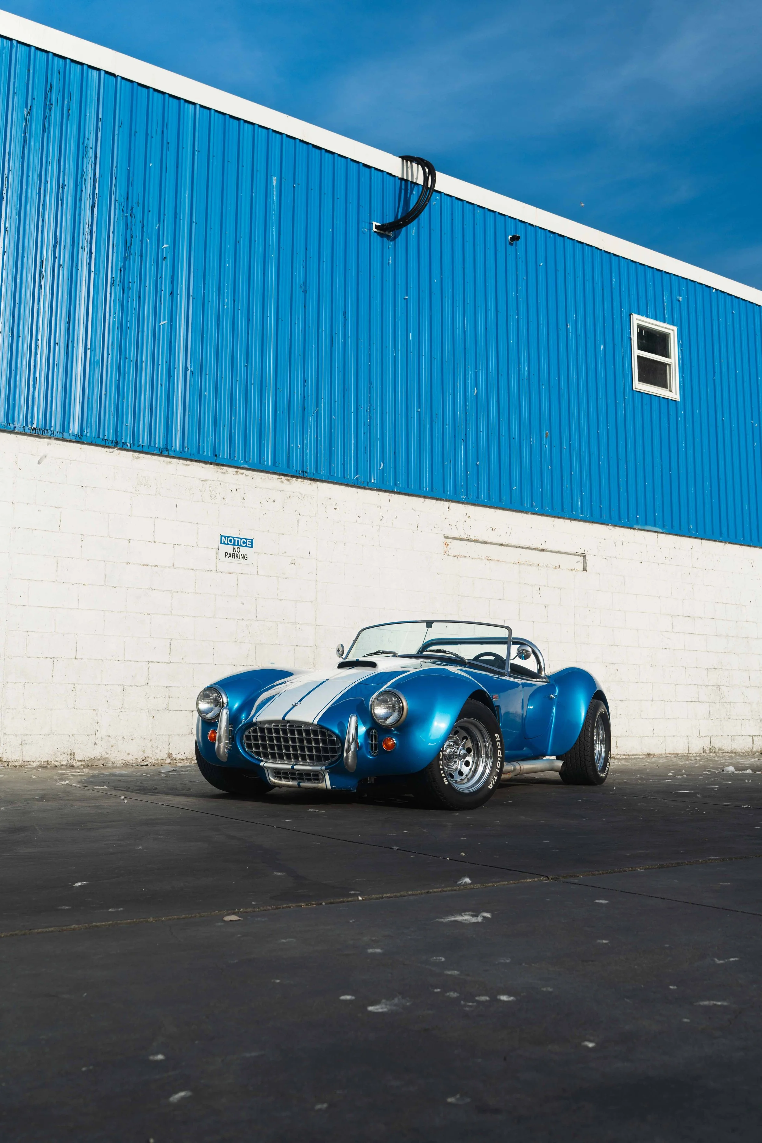1989 Shelby Cobra 427 - Boat Dock-2.jpg