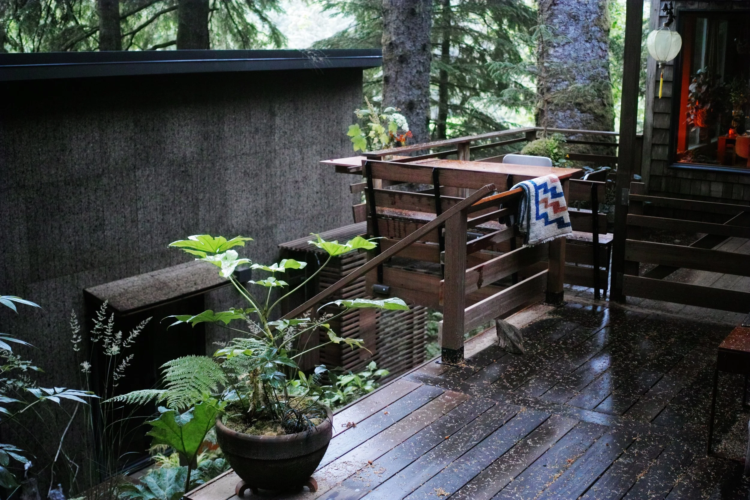 A wooden deck surrounded by lush green plants and tall trees, with a potted plant in the foreground and a rustic house with outdoor furniture and decorative elements visible in the background.