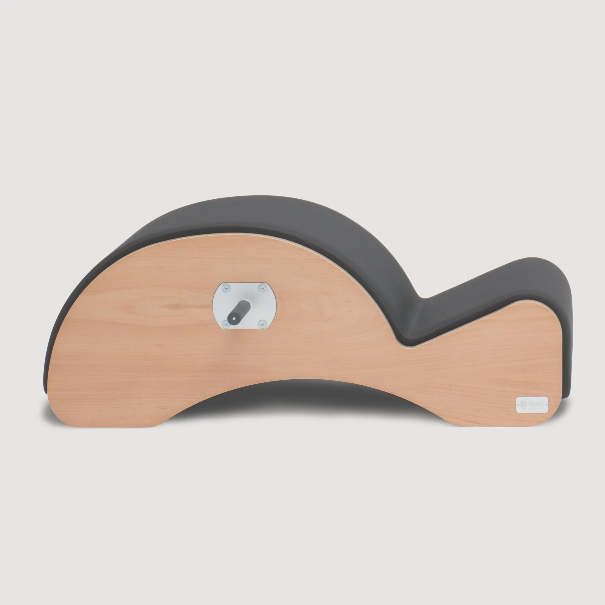 BASI Systems Spinal Corrector