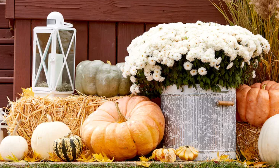 Fall Party / Pumpkin Carving