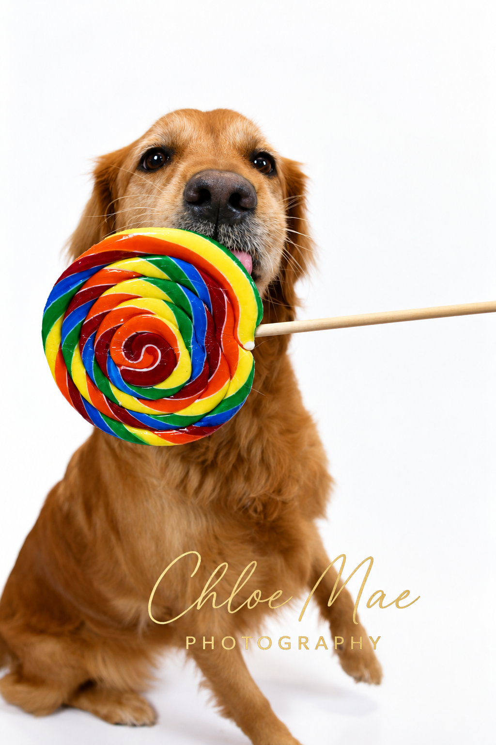 70220103-e4e8-4dc2-b2c8-a20883a01b03.png
