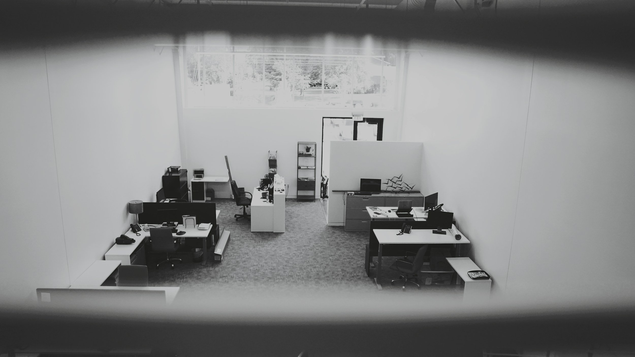 How to Get Coffee Stains Out of Carpet: A beginners Guide