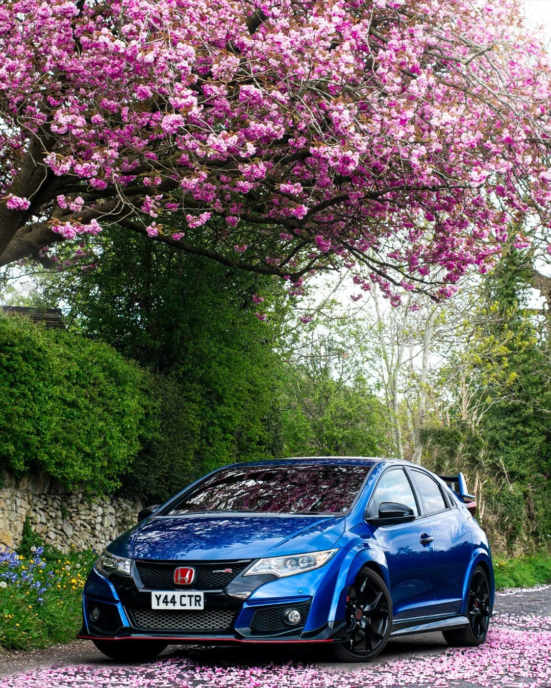 Honda In Bloom 🌸
.
.
.
.
.
#honda #jdm #typer #civic #japan