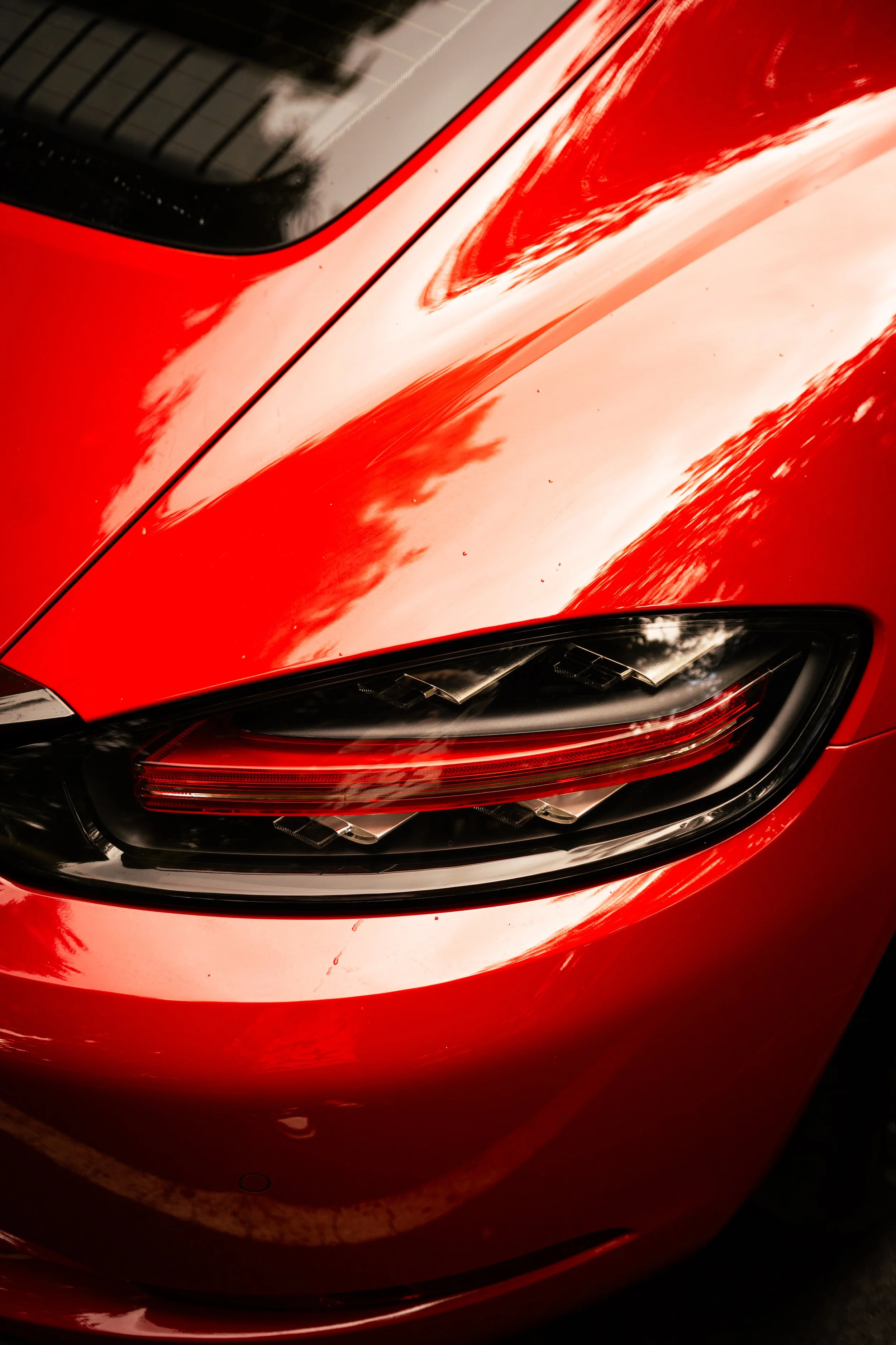 tail light.jpg