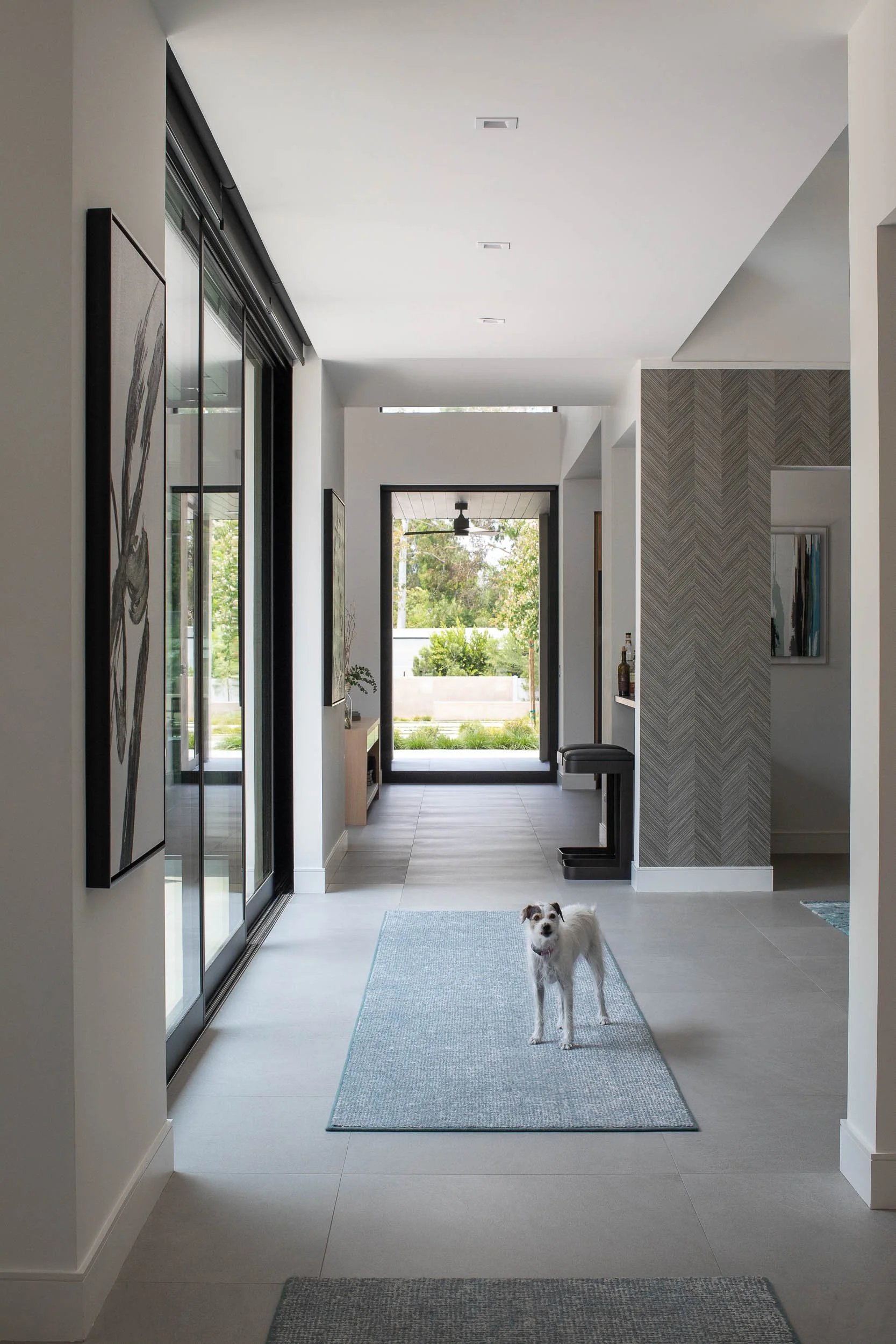 Interior of a modern house with a dog standing on a blue rug in the hallway, leading to an outdoor patio area.