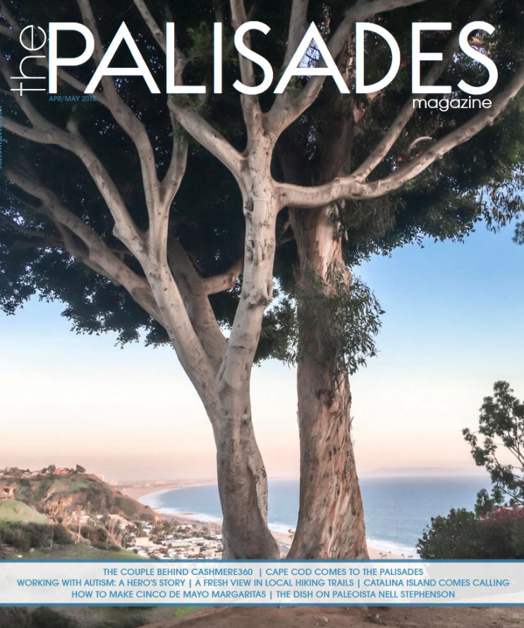 THE PALISADES