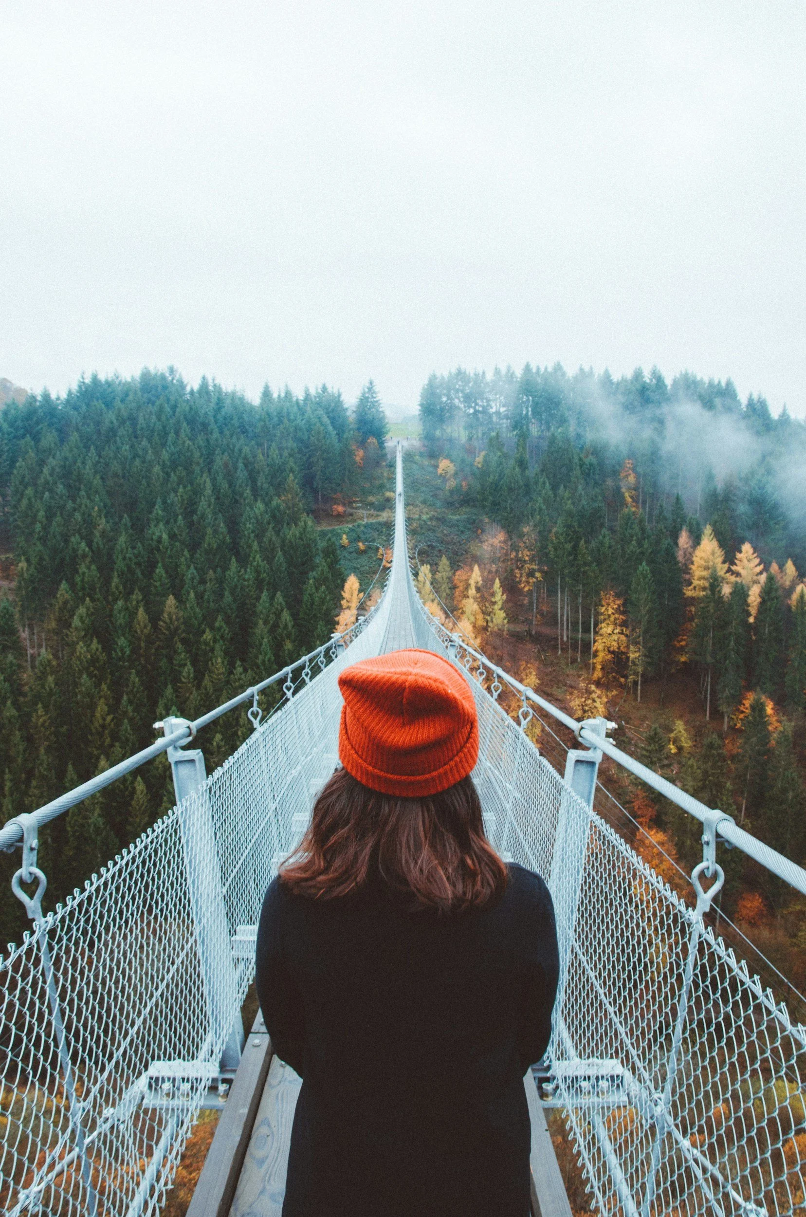 The importance of purpose