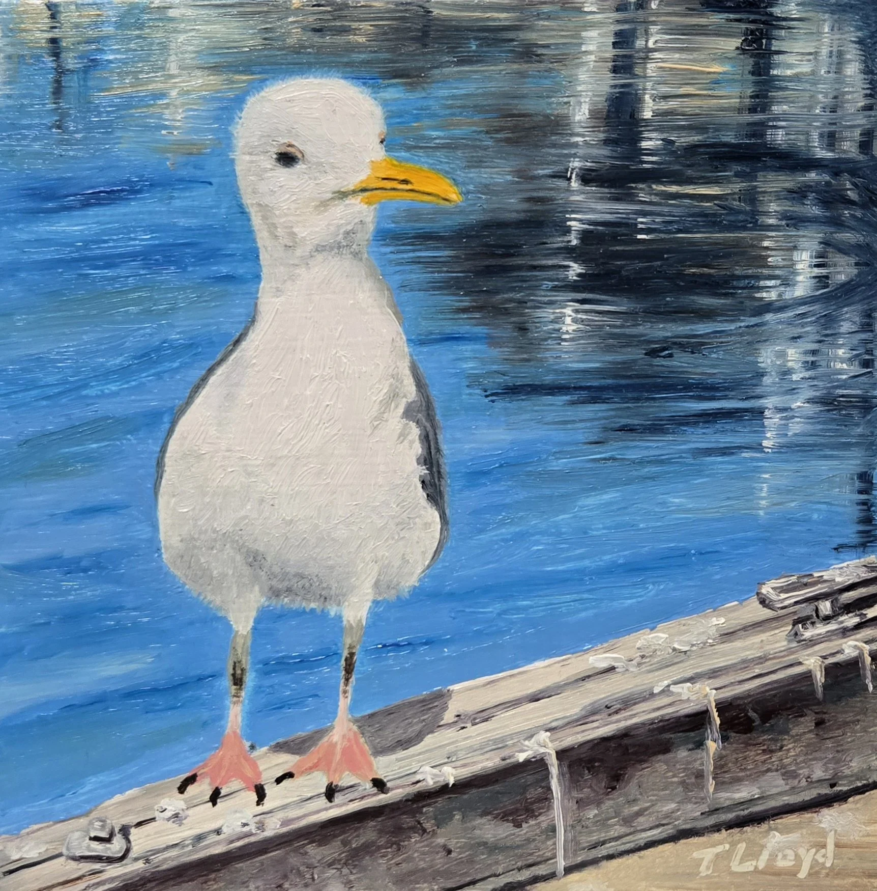 I See You | 6x6