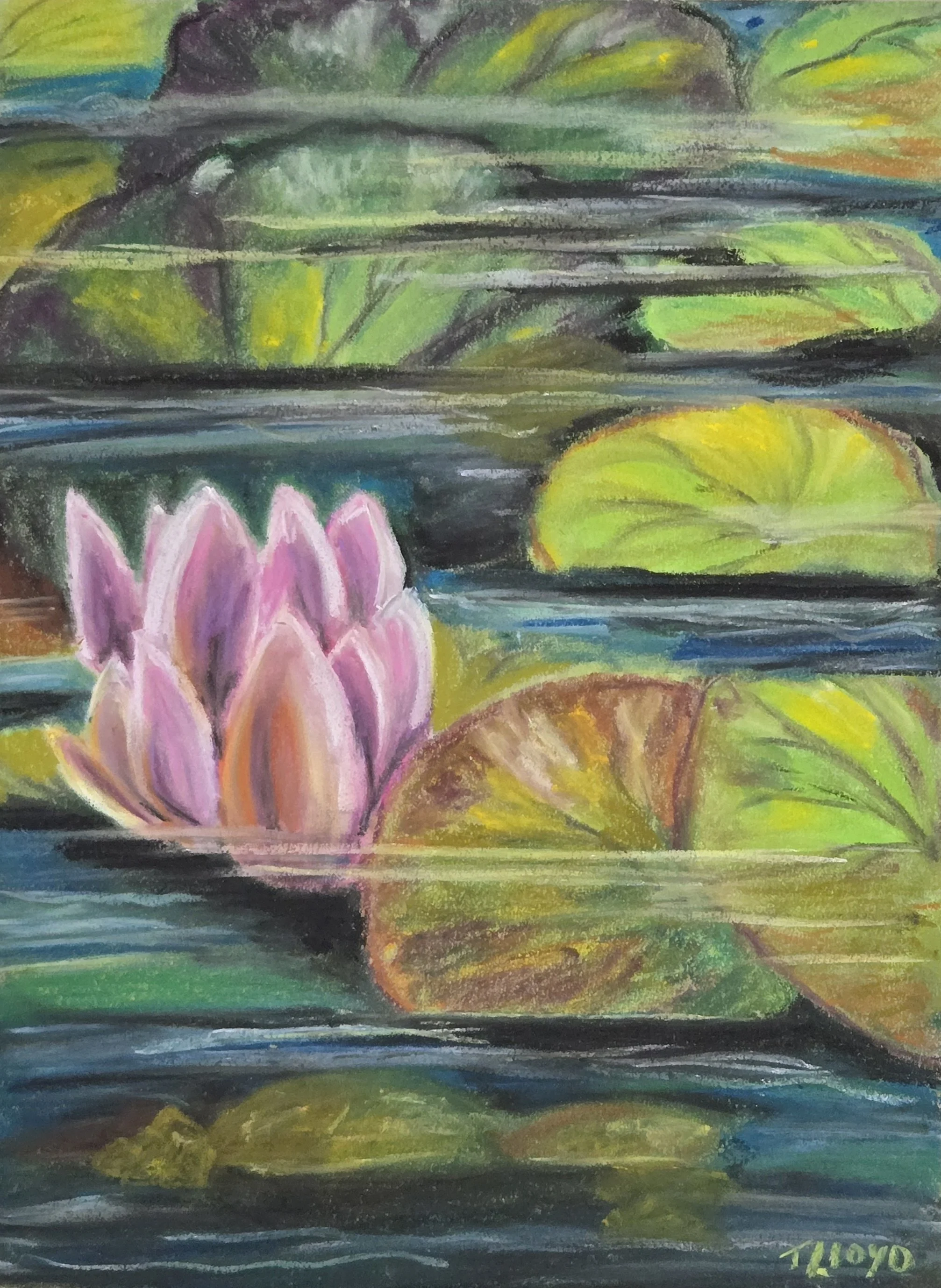 Water Life | 12x9