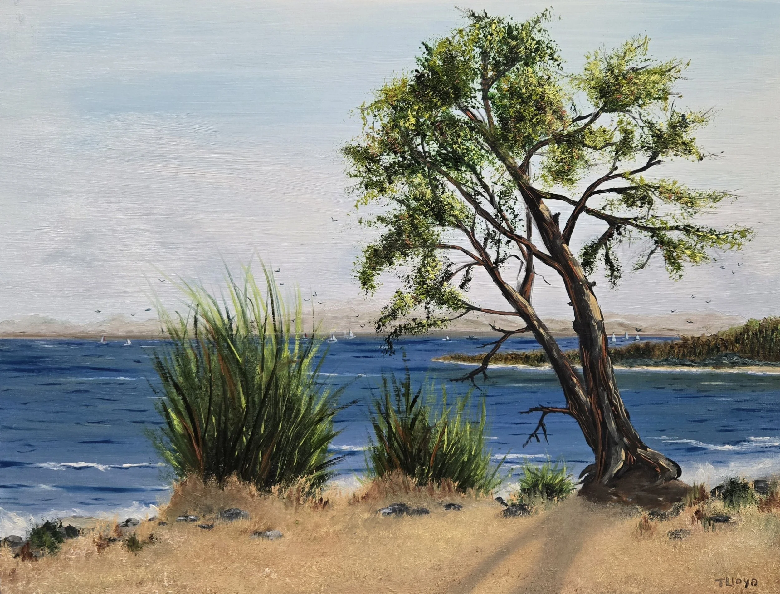 At the Edge | 12x16