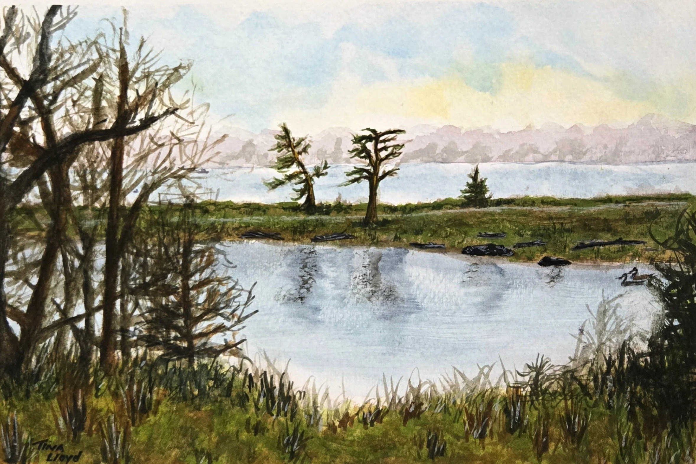 #169