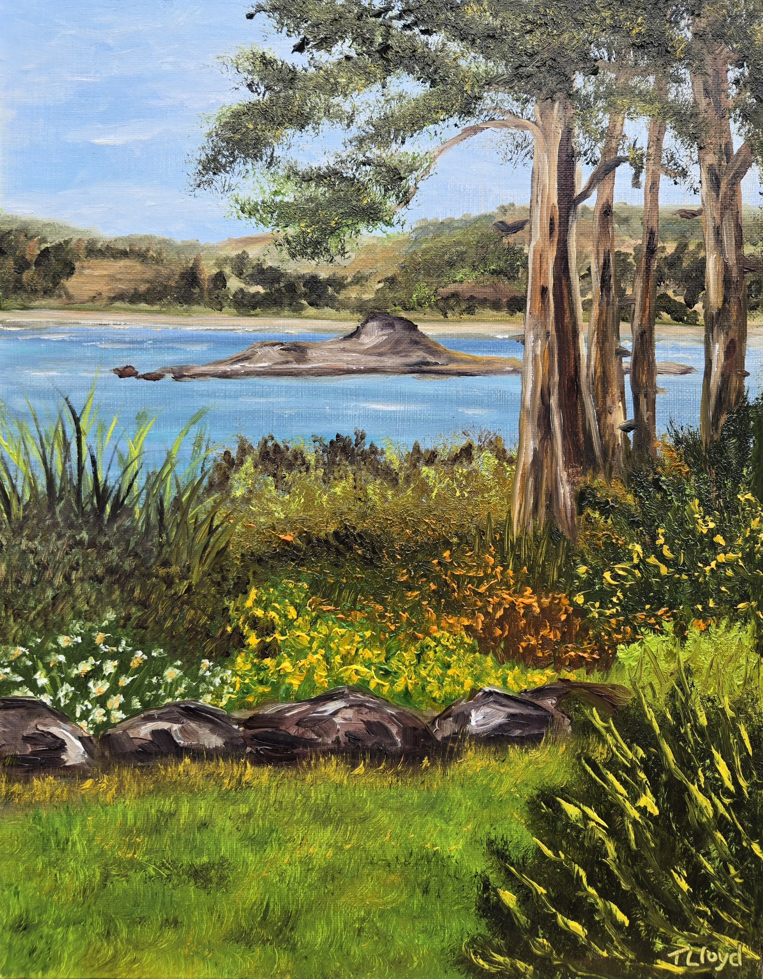 Saxe Point Park A Peaceful View | 14x11 | Oil | Panel | Plein Air