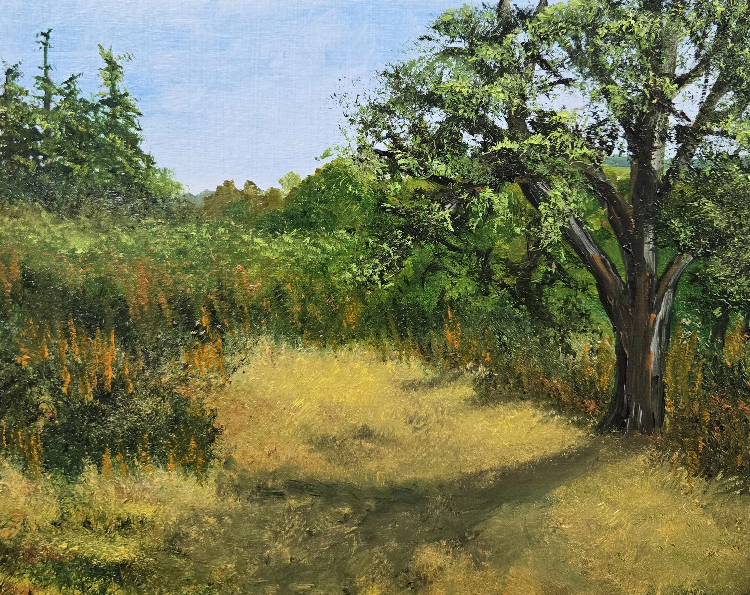 Light of Day | 8x10 | Plein Air