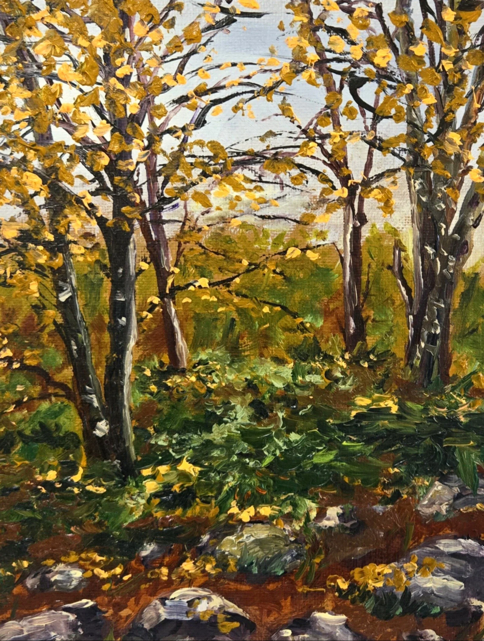Fall Has Arrived | Oil | Plein Air | 6x8