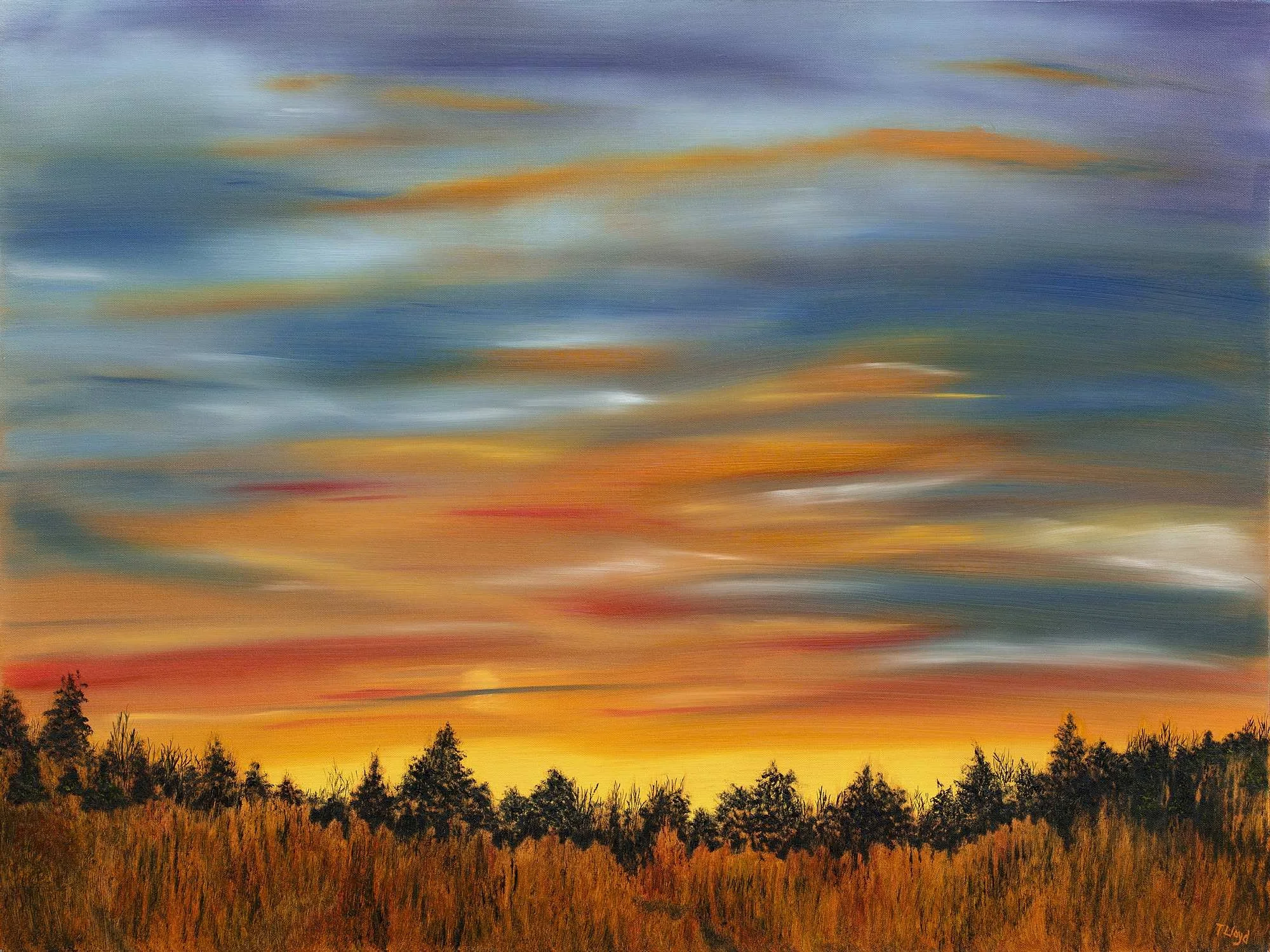 Gifted Sunrise  30x40 $1985.jpg