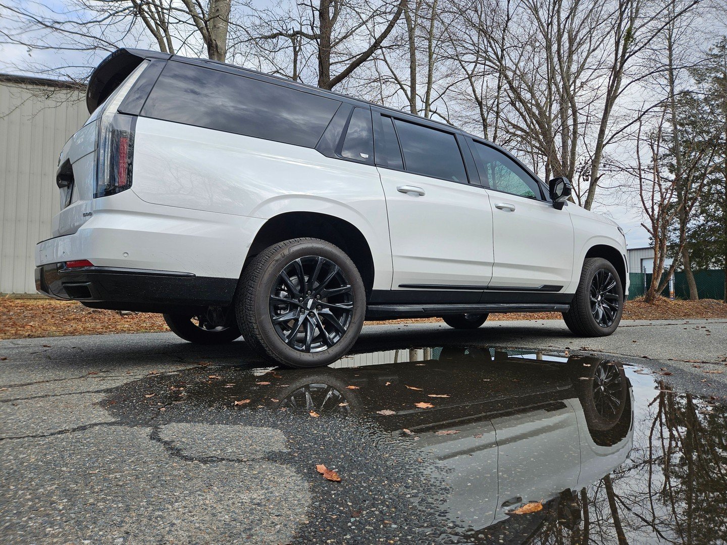 Window line wrapped in gloss black and it completely transforms the look of this Escalade.

That subtle contrast along the top gives it a cleaner, more aggressive profile without overdoing it. Simple upgrades done right always hit harder than loud ch