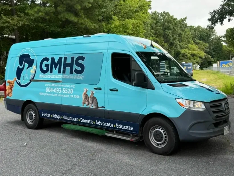 Blue van with GMHS logo and website, phone number, and address for Gloucester County Humane Society, featuring images of cats and a dog, parked on a street with trees in the background.