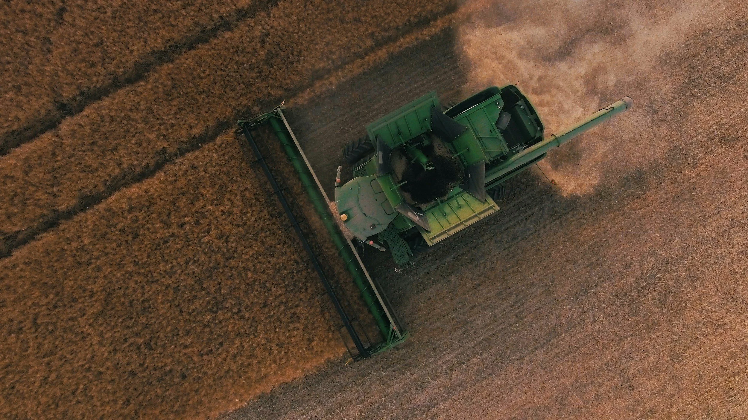 A green combine harvester operating in a large field of crops, harvesting and collecting the grain.