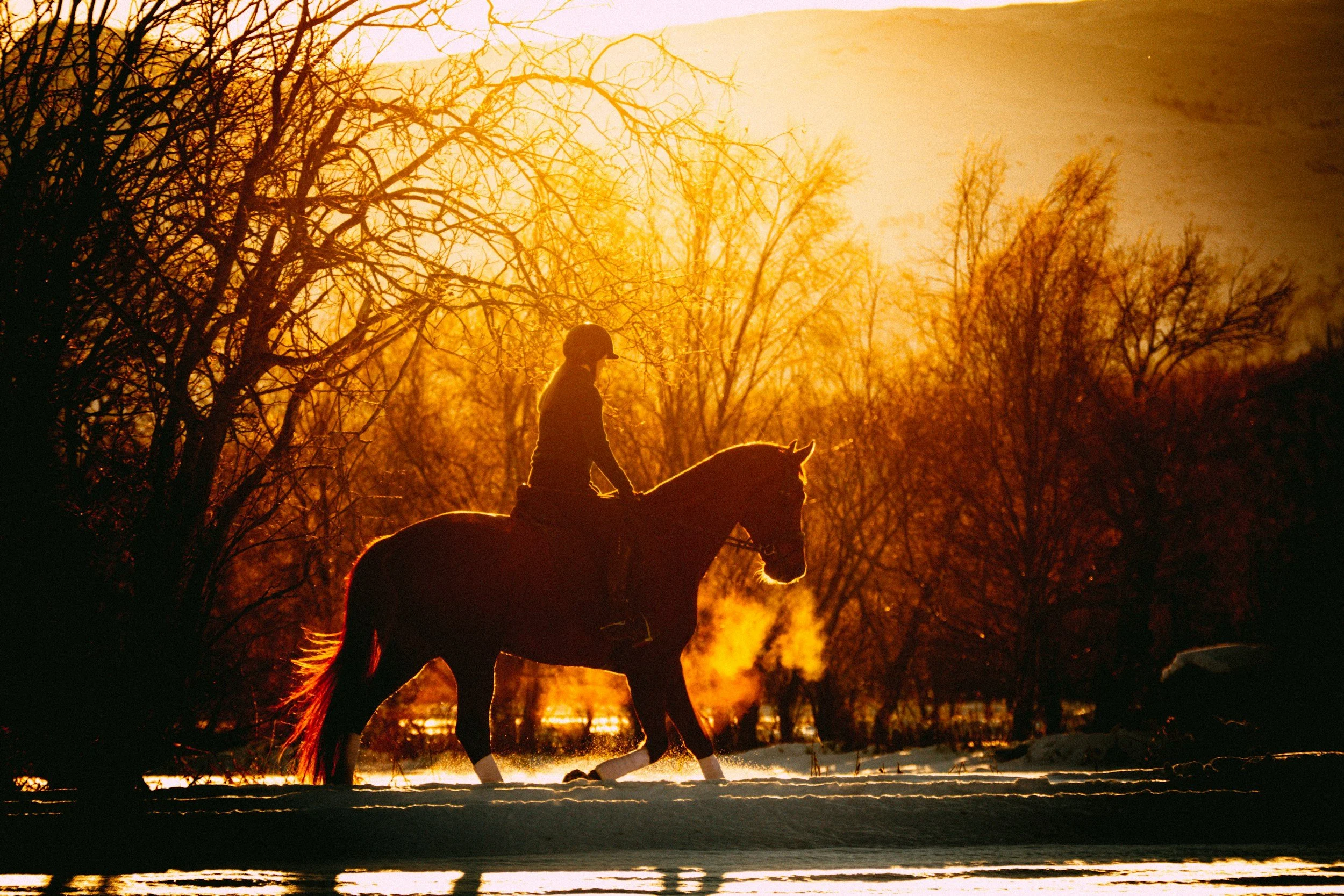 Silhouette of a person riding a horse at sunset in a winter landscape with leafless trees and steam rising from the horse's nostrils.
