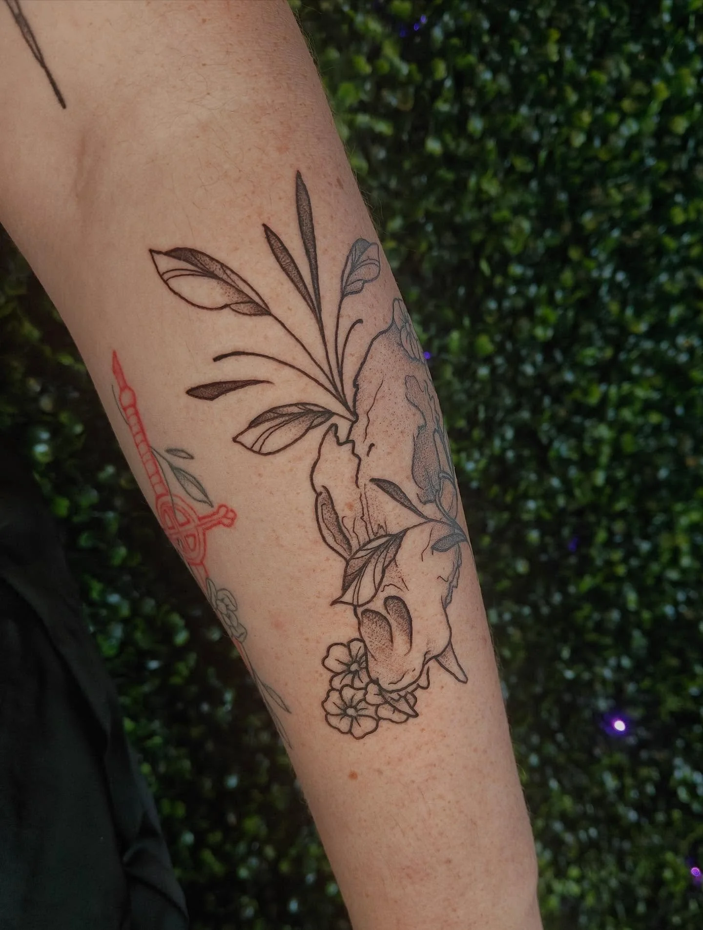 this piece was so much funnnnn maybe i need to make some more animal skulls

this piece was from my halloween flash sheet!

Done at @cryptidinkstudio 
✦ thank you for looking!
✦ DM me to book!!
✦ BOOKING APR!!!

#queertattooartist #terrehauteindiana 